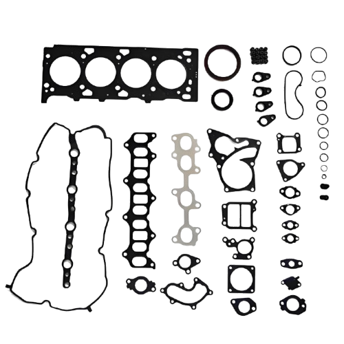 Engine overhaul kit