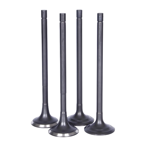 Intake and exhaust valves