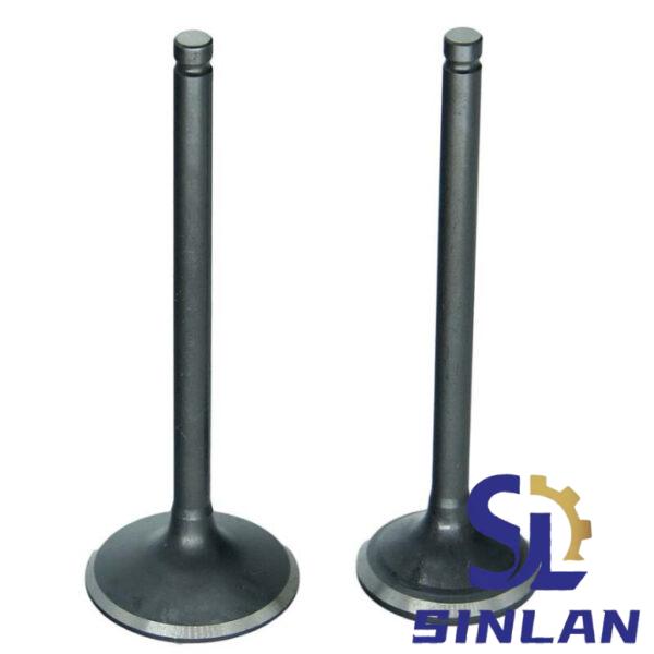 JEEP LIBERTY 2.8T Intake Valve 68027469AA