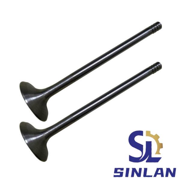 JEEP JOURNEY 2.0T Intake Valve 68093259AA